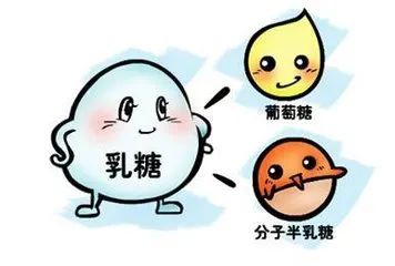 乳糖酶是什么？？？缺乏乳糖酶有四大危害！！！