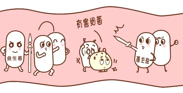 胃癌元凶幽门螺杆菌，，，益生菌竟是根除它的好帮手