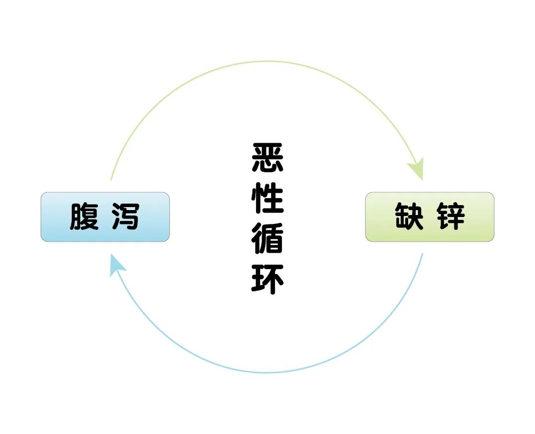 宝宝腹泻期间，，，，为什么要补锌？？？？